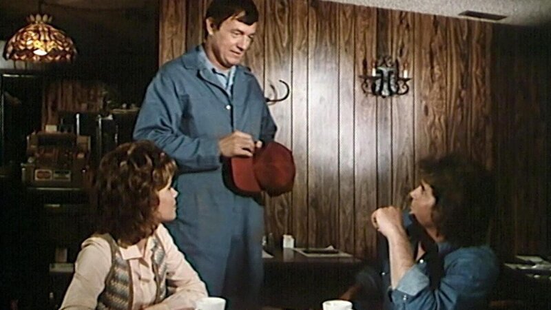 Auf den Schwingen der Liebe: Jonathan (Michael Landon, r.) soll Libby (Robin Dearden, l.) und Earl (John H. Lawlor, m.) zusammenbringen – Bild: Bibel TV