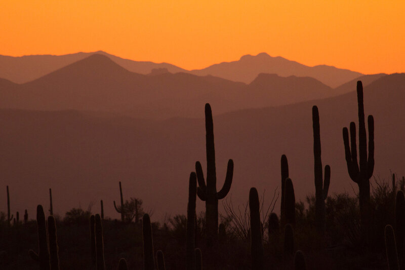 150 Jahre Nationalparks in den USA
Amerikas beste Idee
Gates of the Arctic & Saguaro
Kakteen im Saguaro Nationalpark
SRF/​Altayfilm – Bild: SF1