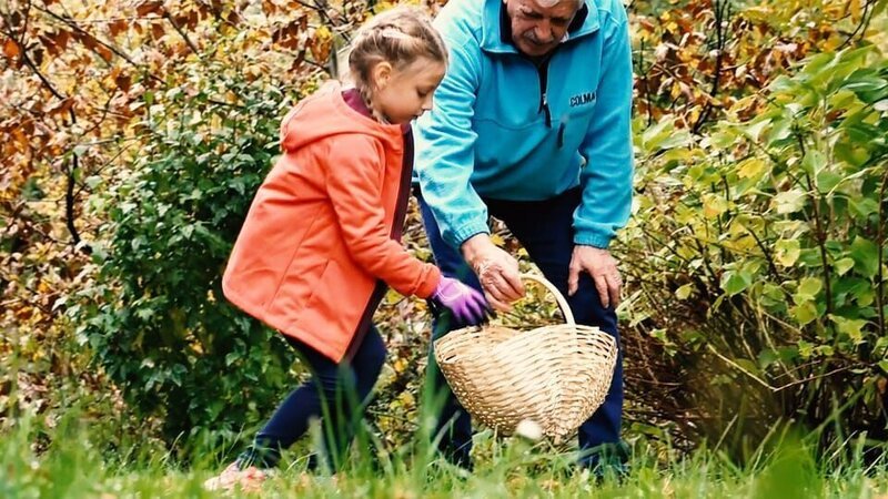 Petra (6 Jahre) lebt in einem kleinen italienischen Dorf und sammelt am liebsten mit ihrem Onkel Kastanien im Wald. – Bild: ZDF/​RAI