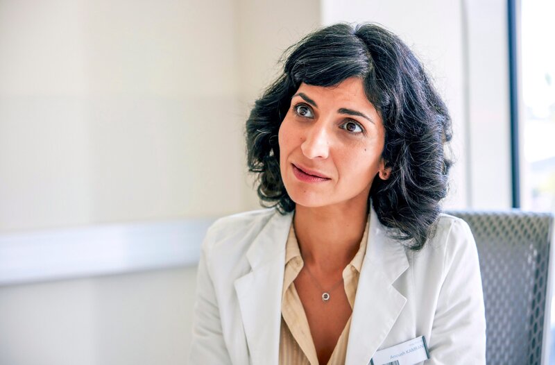 Tiefwassertaucher unterm Dach – Bild: MDR/​ORF/​Gebhardt Productions/​Anjeza Cikopano