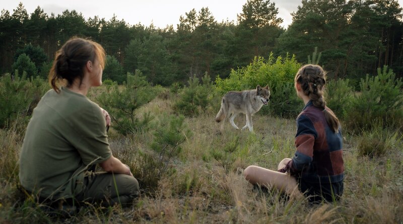 Wolfsjagd – Bild: ARD Degeto/​Conny Klein