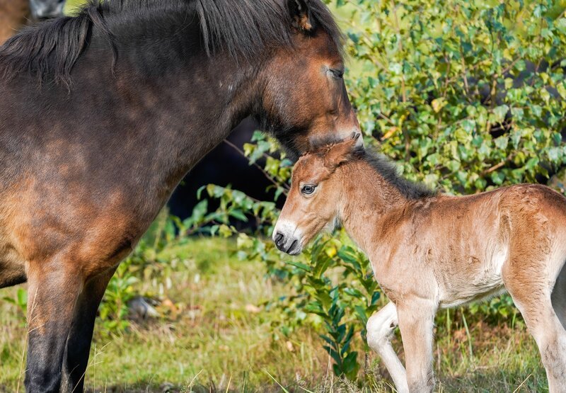 Bild: WDR/MacroTele-Film/Ralph Schieke Bild: WDR/MacroTele-Film/Ralph Schieke