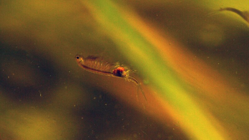 Bild: BR/​Rübefilm/​Bernhard Rübe