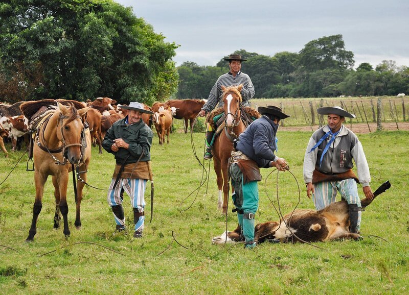 Gauchos bei der Arbeit auf der Estancia San Juan de Poriahú in Argentinien. – Bild: SF
