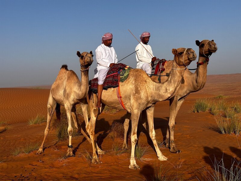Die Arbeit in der Wüste beginnt früh, schnell wird es heiß. Humied Al-Mughairy und sein Bruder Abdullah bringen einige der familieneigenen Kamele tiefer in die Wüste. – Bild: arte, Sebastian Richter /​ ZDF