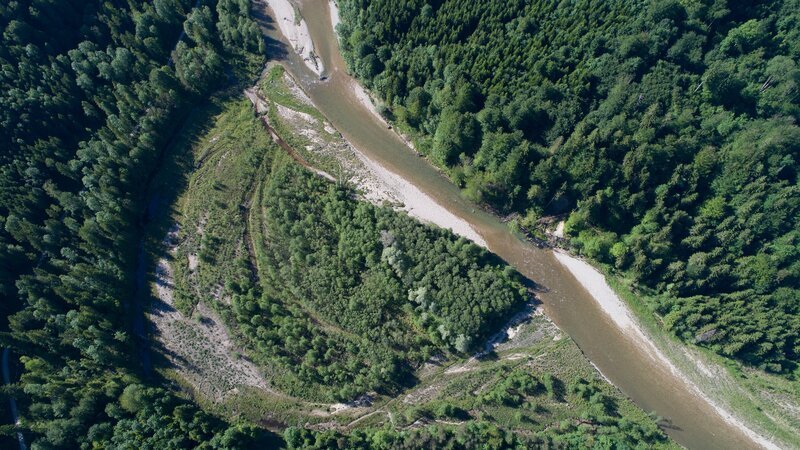Im Bereich der Schnalz wird das Flussbett der Ammer noch von regelmäßigen Hochwassern geformt. Dabei entstehen immer neue Inseln aus Schotter und Kiesbänken. Umgestürzte Bäume dürfen liegenbleiben und schaffen so neuen Lebensraum für unzählige Tier- und Pflanzenarten. – Bild: Jens-Uwe Heins /​ BR