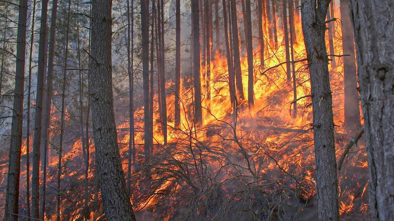 Bild: Bergblick Bild: Bergblick