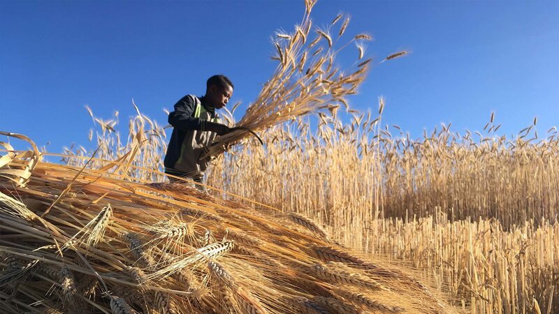 Bild: Bergblick Bild: Bergblick