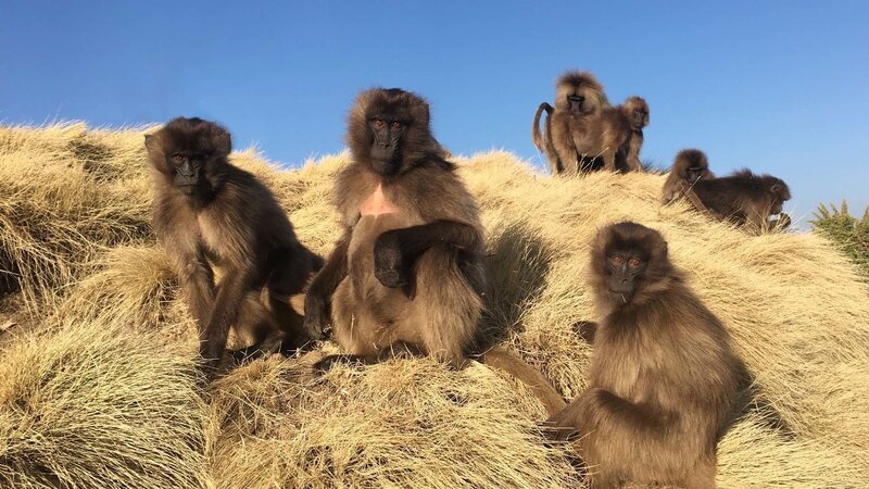 Bild: Bergblick Bild: Bergblick