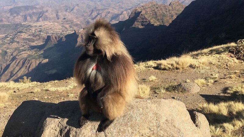 Bild: Bergblick Bild: Bergblick