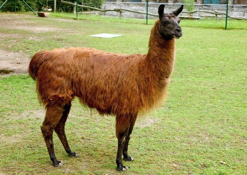 Bild: MDR/​Andreas Lander