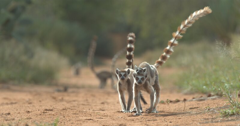 Bild: True to Nature Ltd /​ © True to Nature Ltd