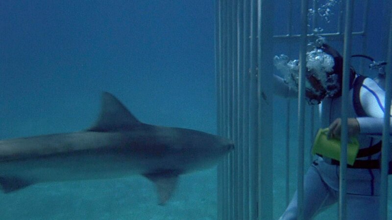 Bild: RTL Deutschland