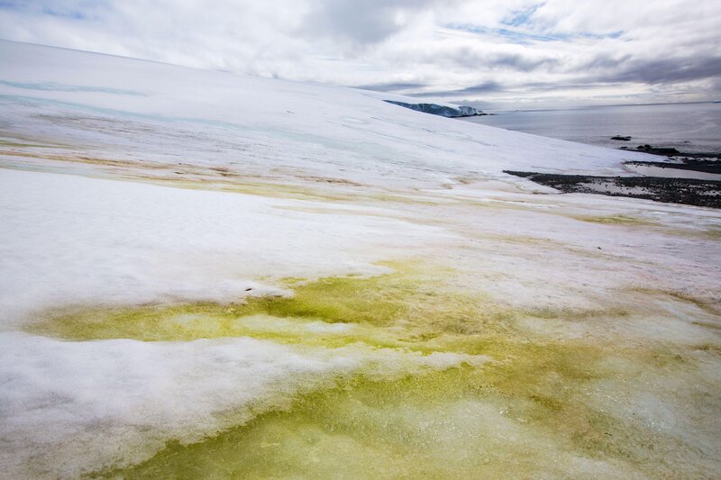 Bild: Licensed by BOAT ROCKER RIGHTS, Inc.