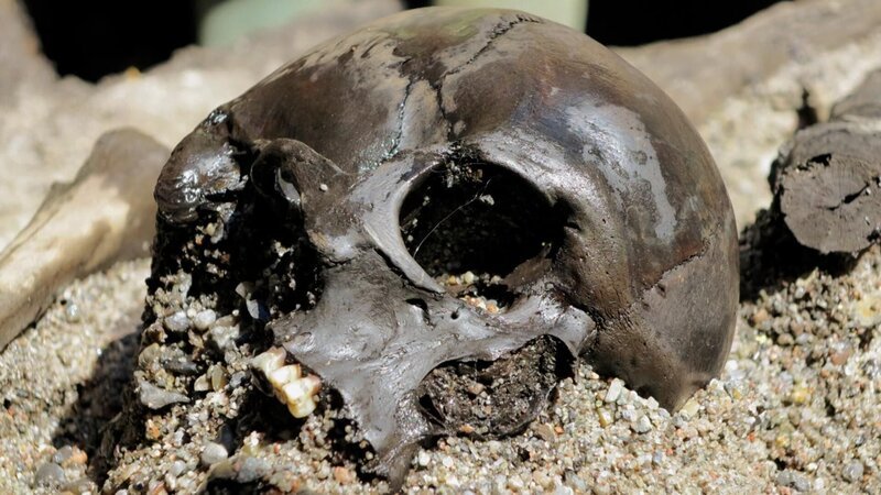 Bild: Licensed by BOAT ROCKER RIGHTS, Inc.