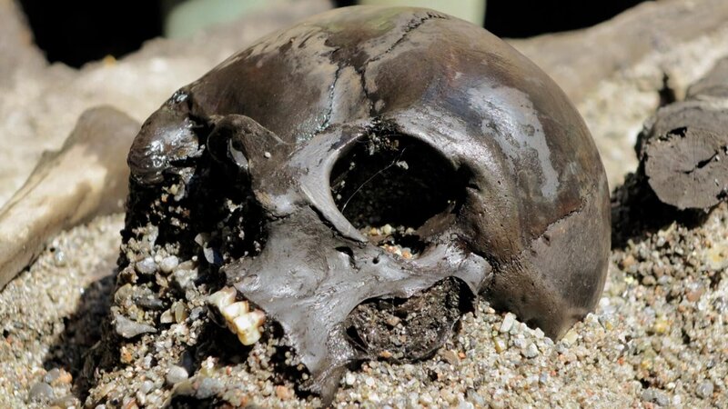 Bild: Licensed by BOAT ROCKER RIGHTS, Inc.