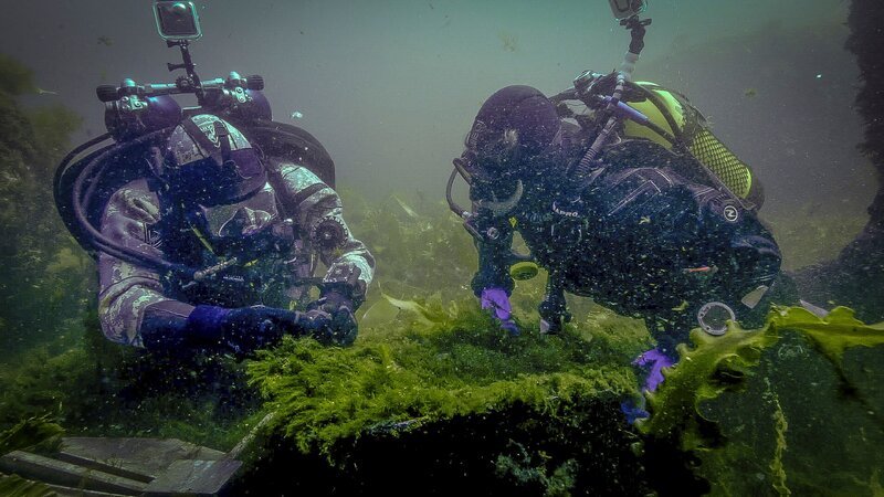 Bild: THE HISTORY CHANNEL