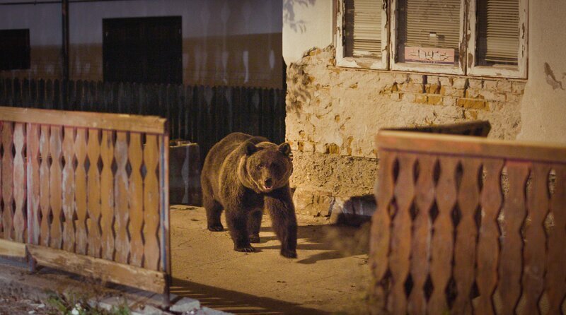 Bild: NDR/​Boas Schwarz