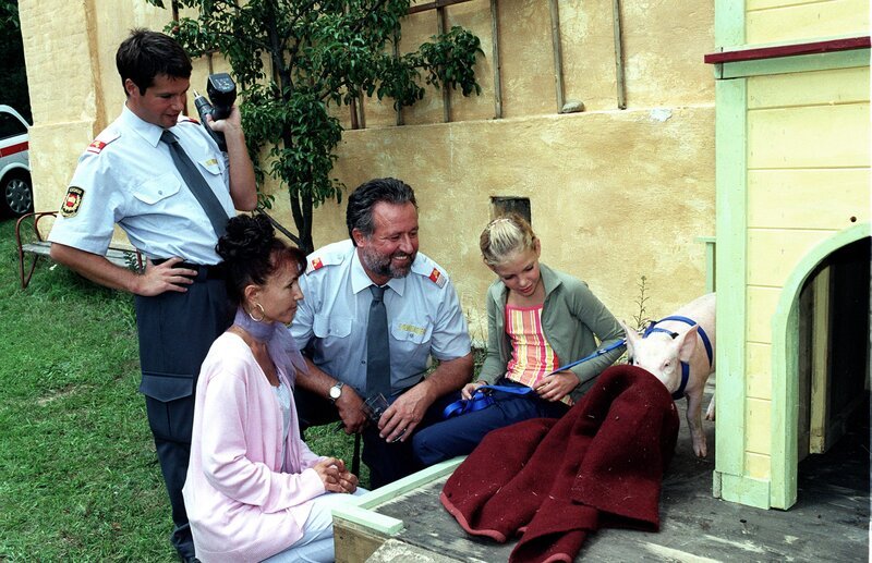 Schweinchen Marilyn bekommt sein eigenes Häuschen (v.li.: Georg Staudacher, Susa Juhasz, Ludwig Dornauer, Paula Polak). – Bild: ORF III