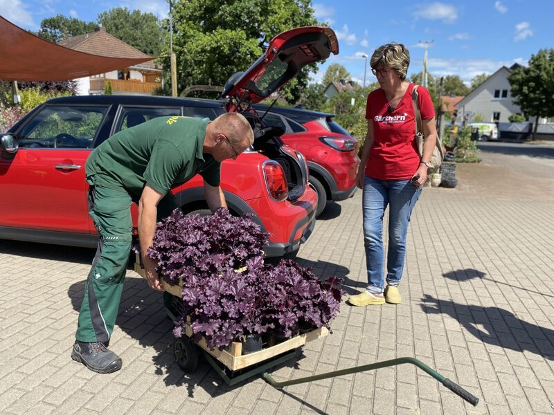 Katrin Iskam – Bild: SAT.1 Katrin Iskam – Bild: SAT.1