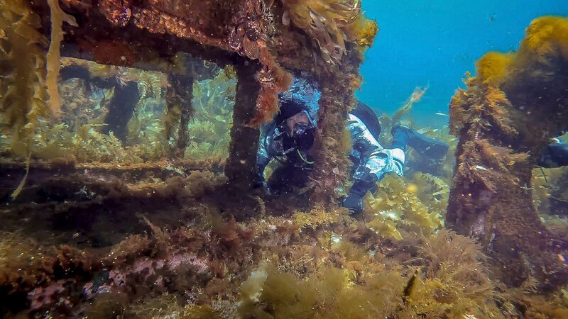 Bild: THE HISTORY CHANNEL