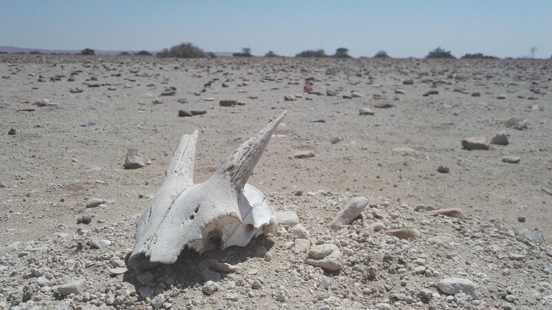 . – Bild: Marco Polo TV