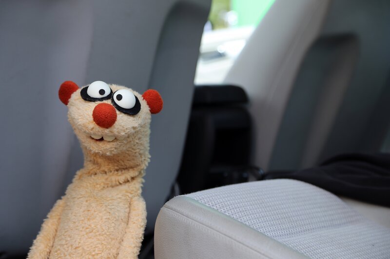 Bild: NDR/​bigSmile