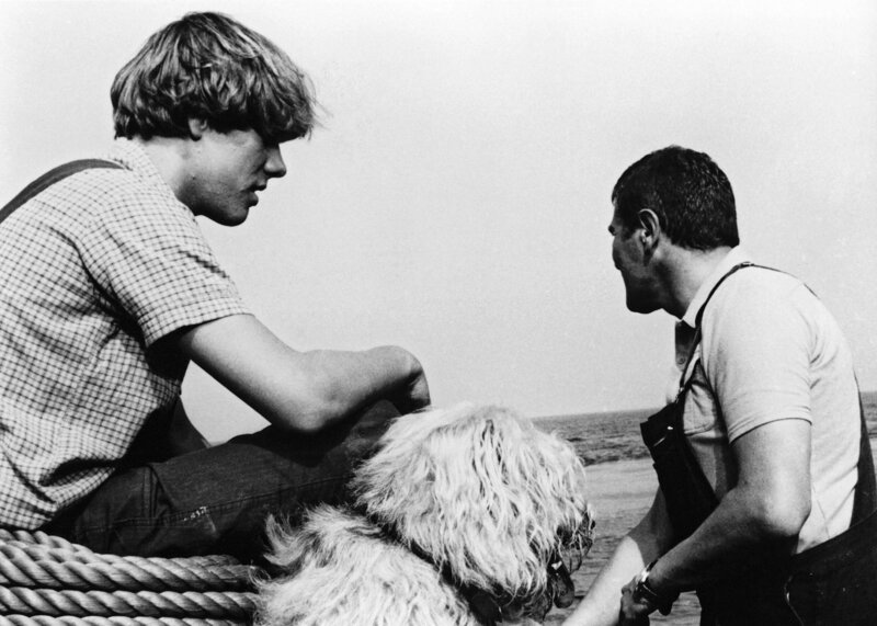 Kapitän Schmidt (Dieter Ohlendiek, rechts) und Matrose Mewes (Marco Kröger) haben mit Bordhund „Belami“ einen fröhlichen Dreierbund geschlossen. – Bild: NDR/​Stroemer