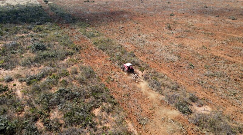 Verschollen - Die Doku – Bild: SWR/​Diwafilm