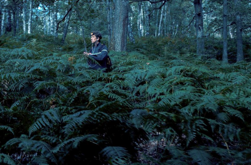 Laurent Tillon, Experte für Biodiversität, zeigt, wie Fledermäuse das Ökosystem Wald prägen – und warum ihr Schutz uns alle betrifft. – Bild: Laurent Fleutot