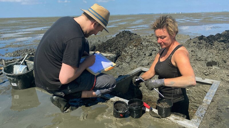 Bild: NDR/​Mario Göhring