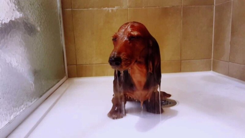 Bild: Comedy Central