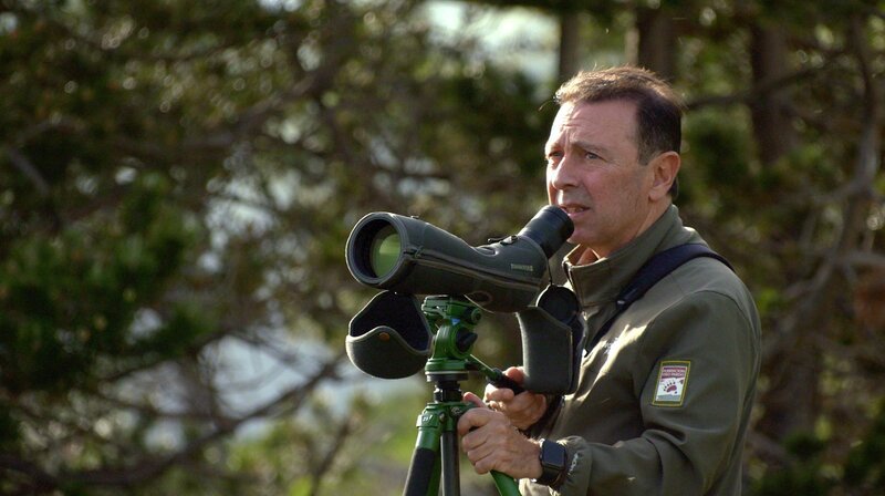 Bild: SWR/​navegantes