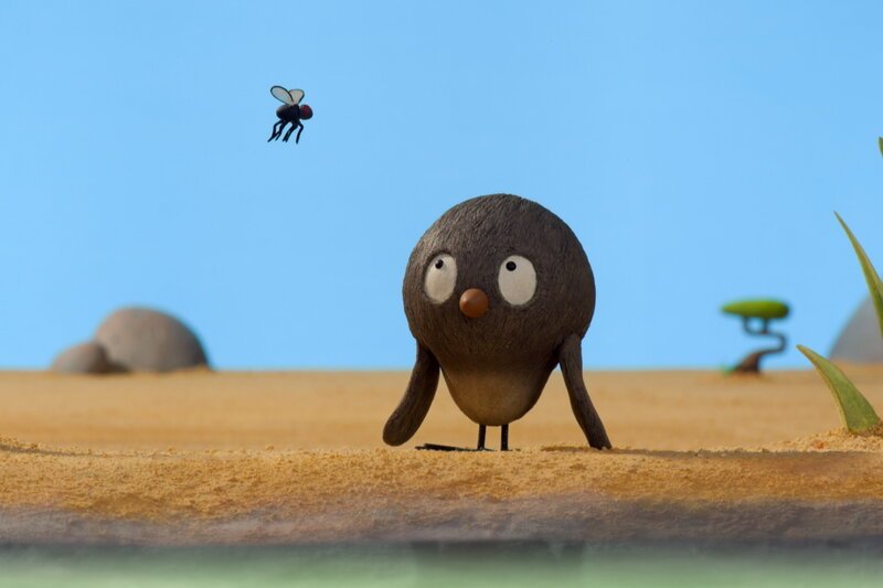 Guetnachtgschichtli, Dimitri - E fiisi Flüüge, Eine Fliege ärgert Dimitri die ganze Zeit. – Bild: SRF/Nadasdy Film Sàrl Guetnachtgschichtli, Dimitri - E fiisi Flüüge, Eine Fliege ärgert Dimitri die ganze Zeit. – Bild: SRF/Nadasdy Film Sàrl