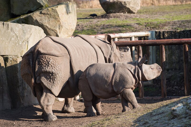 Bild: rbb/​Claudius Pflug