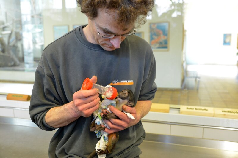 - Janna Falkenstein – Bild: rbb/​Thomas Ernst