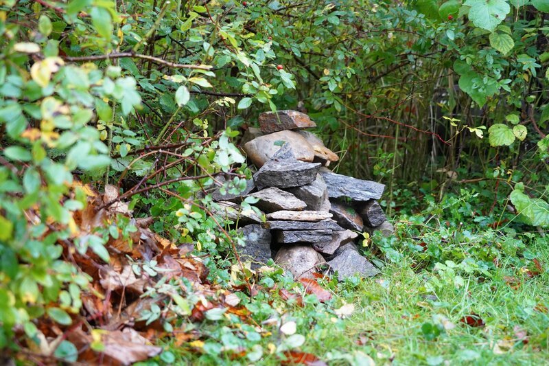 Lassen wir der Natur einen beinahe ungestörten Platz im Garten, holen wir uns wertvolle Helfer in den Garten. Die Gärtnerinnen auf der Garten Tulln zeigen, wie man ein wildes Eck anlegen kann. – Bild: Leopold Mayrhofer/​Natur im Garten