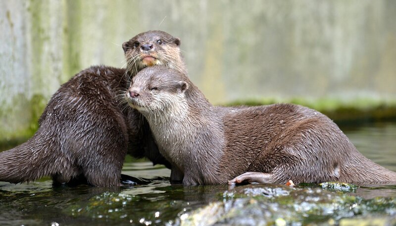 Bild: rbb/​Thomas Ernst