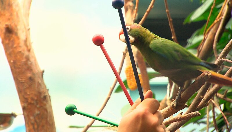 Bild: rbb/​Dokfilm