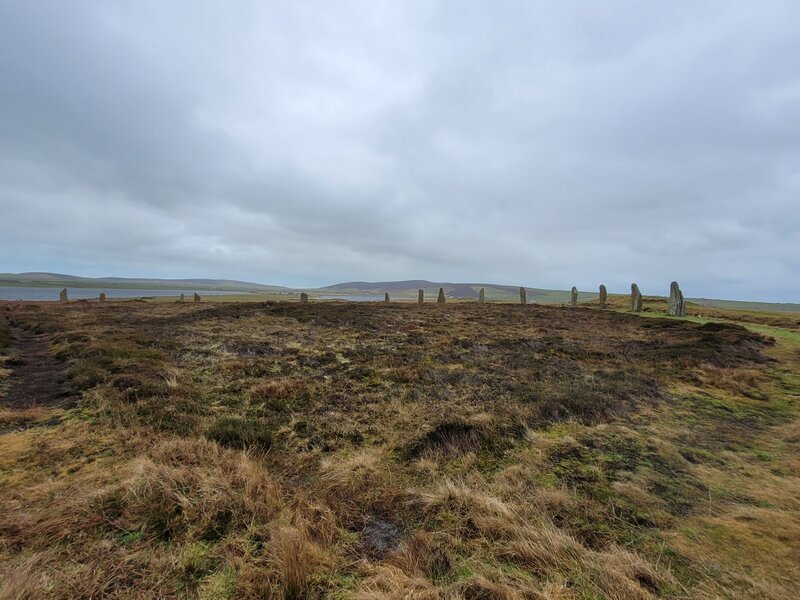 Folge 9 – Bild: RTL /​ WAG ENTERTAINMENT