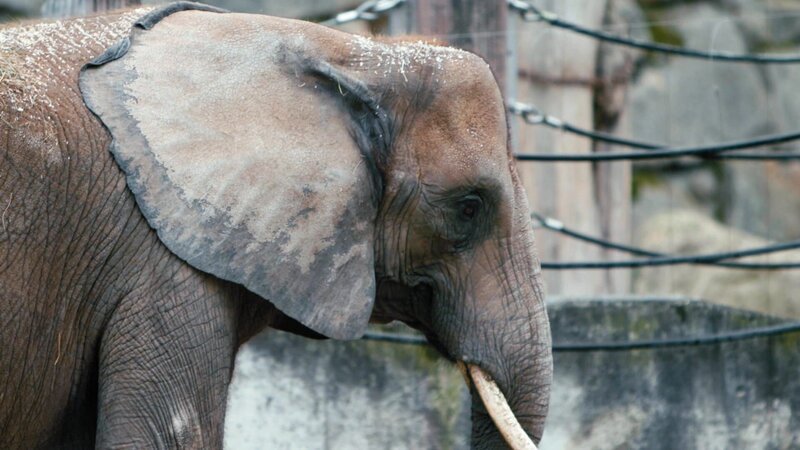 Bild: @Red Bull Media House/​ServusTV