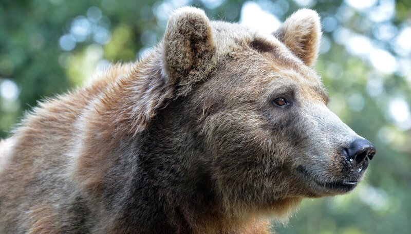 Bild: rbb/​Thomas Ernst