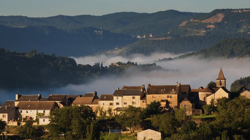 In der Provence steht die uralte Rivalität zwischen Fuchs und Rabe im Fokus des Interesses. – Bild: RTL /​ BORÉALES /​ Terra Mater /​ Von den Pyrenäen zur Provence