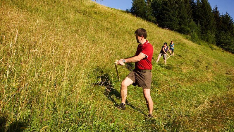 Sensengruppe bei der Arbeit. – Bild: ORF 2