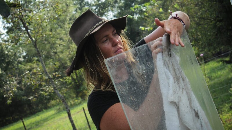 . – Bild: Warner Bros. Discovery