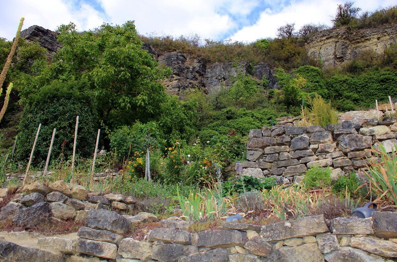 Johannes’ Garten am Fuße der Nittler Kalkfelsen. – Bild: SWR/​megaherz