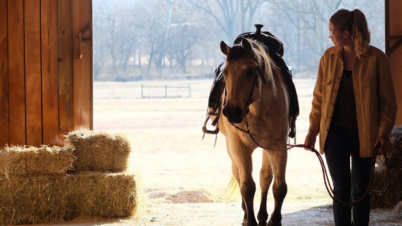 . – Bild: Watch 4 Movies