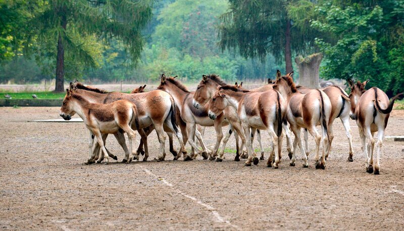 Bild: rbb/​Thomas Ernst