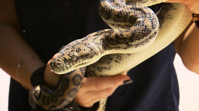 . – Bild: Warner Bros. Discovery