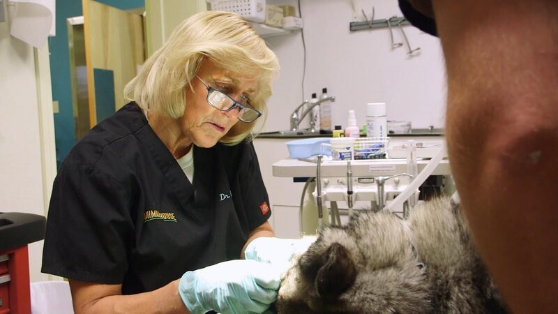 . – Bild: Warner Bros. Discovery